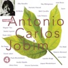 Danilo Caymmi - Anos Dourados