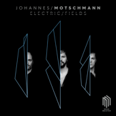 Electric Fields - Johannes Motschmann, Boris Bolles & David Panzl