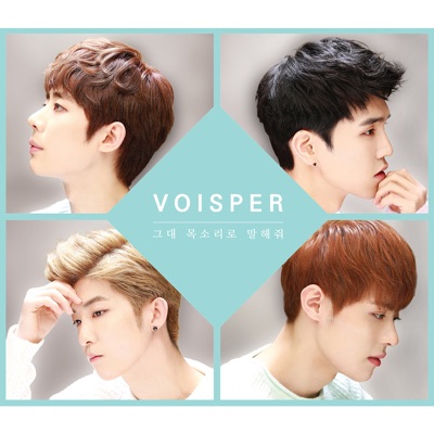 VOISPER cover