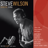 Steve Wilson - Reasons