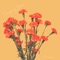 Brooklyn (for Leah) - Sleeping Jesus lyrics