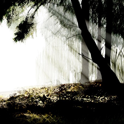 White Shores Green Meadows