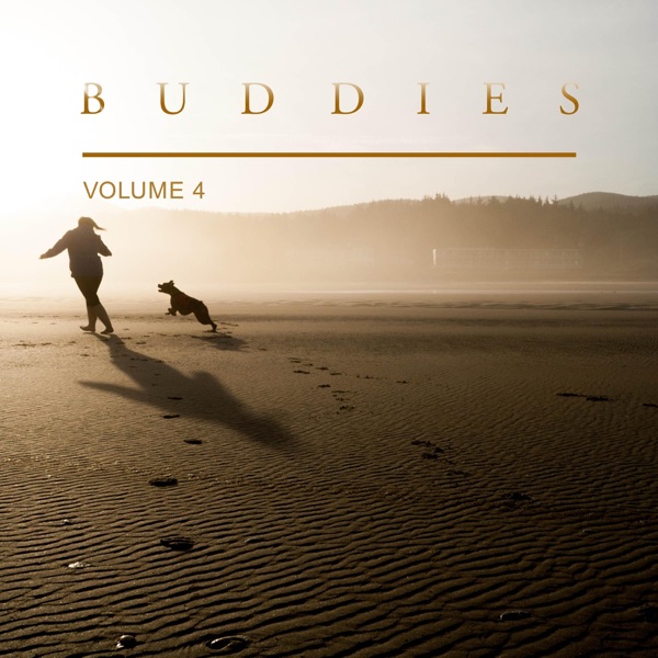 Buddies, Vol. 4