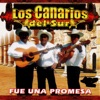 Fue Una Promesa