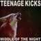 Fake Problems - Teenage Kicks lyrics