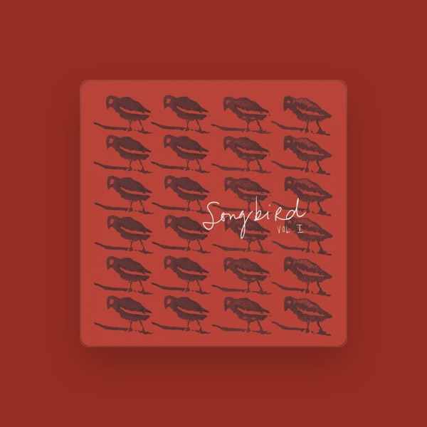 Songbird's avatar