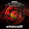 Aruna - The End (Alex Klingle Remix)