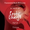 A Taste of Erotic Lounge, Pt. 3 (Passionated Moods & Grooves), 2014