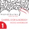Moog Mandibular (Angy Kore Remix) - Gabriel D'Or & Bordoy lyrics