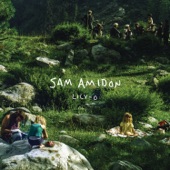 Sam Amidon - Walkin' Boss