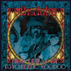 High Priest of Psychedelic Voodoo (Vinyl Box Edition) - Dr. John