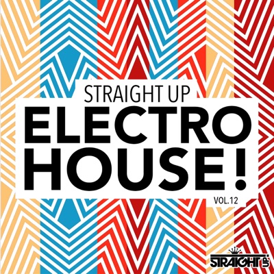 Straight Up Electro House!, Vol. 12
