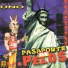 Pasaporte de Pelos, Vol. 1