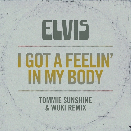 Cover artwork for I Got a Feelin' In My Body