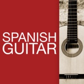 The Sound of a Spanish Guitar artwork