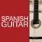 Flamenco Guitar artwork