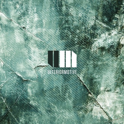 You're Next / Music City - Single