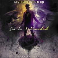 En la Intimidad (feat. Guelo Star & MC Ceja) - Single - Emig