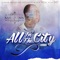 Ballin' (feat. JT the Bigga Figga, Akon) - San Quinn lyrics