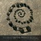 Calm Before the Storm - Steve Roach & vidnaObmana lyrics