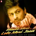 Mera Yaar Mila De