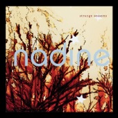 Nadine - Cold Chill