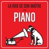 David Zinman Piano Concerto in G Major, M. 83: II. Adagio assai 