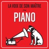 Jean Philippe Collard Nocturne in E-Flat Minor, Op. 33 No. 1 