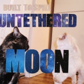 Built to Spill - When I'm Blind