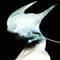 Xen - Arca lyrics