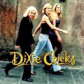 Dixie Chicks - Once You've Loved Somebody