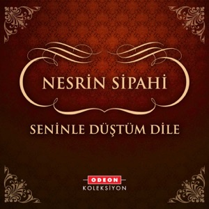 Seninle Düştüm Dile