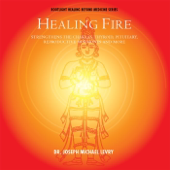 Cover art for Healing Fire by Dr. Joseph Michael Levry