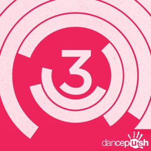 3 Years of Dancepush (Paul Vinitsky Remixes) - EP