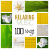 Relaxing Music 100 Songs: The Greatest Relaxing Music Instrumental - Relaxing Mindfulness Meditation Relaxation Maestro