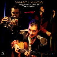 What I Know (feat. Lucrezia) - Single - Angyelle & Curio 247