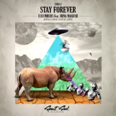 Stay Forever (Ludwix Remix) [feat. Irina Makosh] artwork