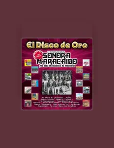 La Unica e Internacional Sonora Maracaiboを聴いたり、ミュージックビデオを鑑賞したり、経歴やツアー日程などを確認したりしましょう！