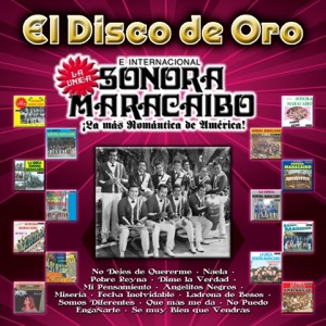El Disco de Oro