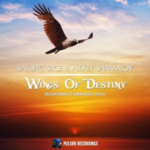 Wings of Destiny - Single