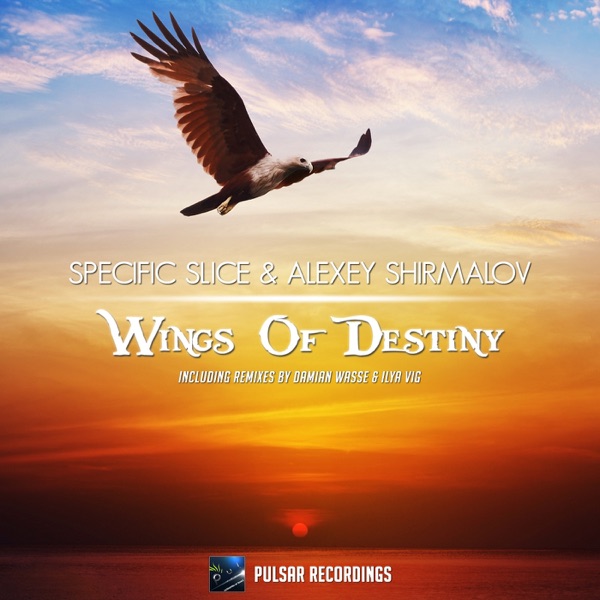 Wings of Destiny - Single