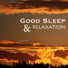 Good Sleep & Relaxation - Get Hypnotized for Sleeping with Deep Brain Stimulation - The Relaxation Masters