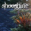 Shooshine