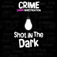 Crime Swing Investigation - Feed The Birds