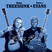 Shelter from the Storm (Live) - Hans Theessink & Terry Evans