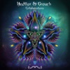 Grouch - Reverse Entropy (Hedflux Remix)