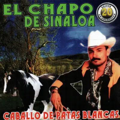 Caballo de Patas Blancas - El Chapo De Sinaloa