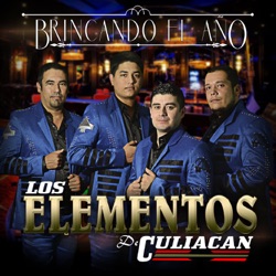 Los Elementos de Culiacan - Hombre Reservado