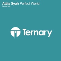 Perfect World - Single - Attila Syah