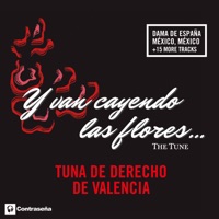 Y Van Cayendo las Flores - The Tune